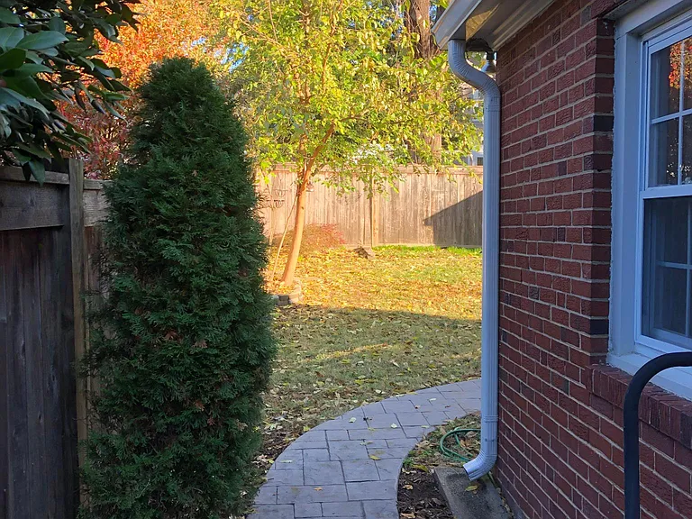 114 E Maple St — Photo 18