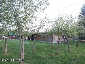 apple and cherry trees