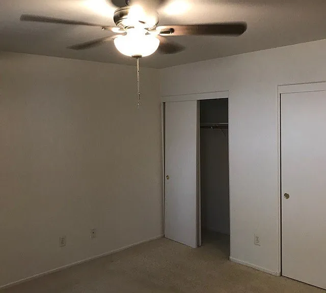 3955 Coyote Brush Ct — Photo 9