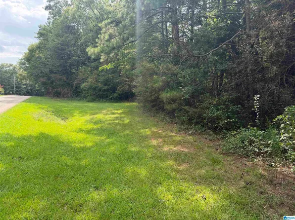 0 County Road 82 #1, Woodland, AL 36280