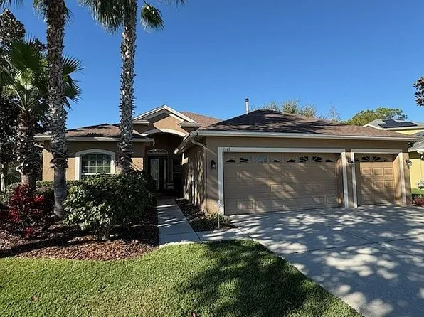 3347 Diamond Falls Cir, Land O Lakes, FL 34638