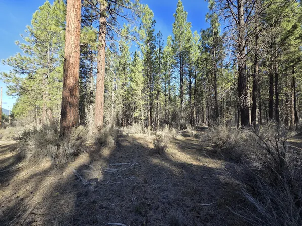 0 Gray Wolf Ln Lot 7, Chiloquin, OR 97624