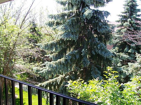 2nd image of 4939 E Circle Dr APT 205