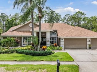 17314 Hialeah Dr, Odessa, FL 33556