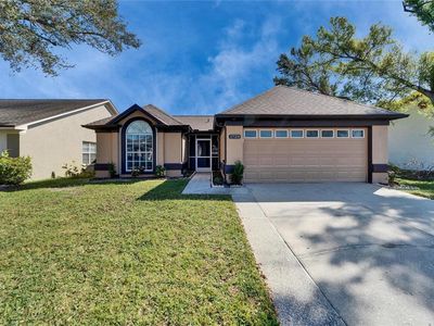 1728 Elk Spring Dr, Brandon, FL, 33511