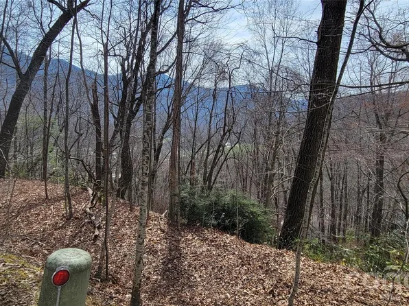 99999 Maplewood Dr, Maggie Valley, NC 28751