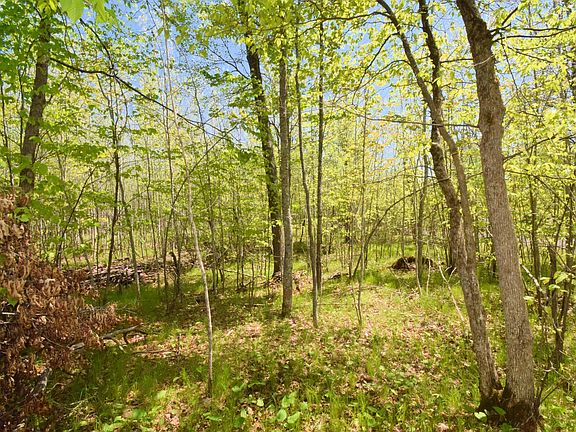 2nd image of LOT 10 Fremsted Rd