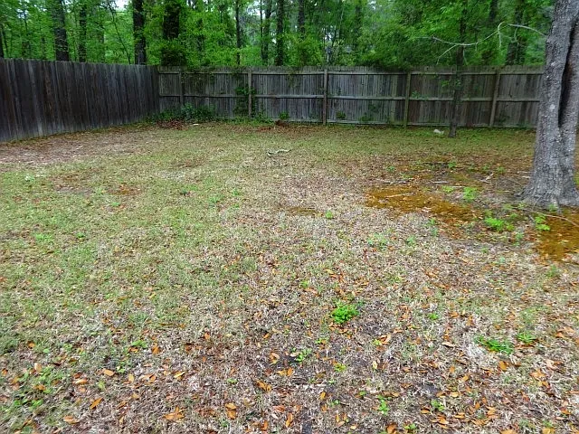 228 Trickle Dr — Photo 13