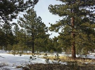 Tbd Broken Bough Rd, Nathrop, CO 81236