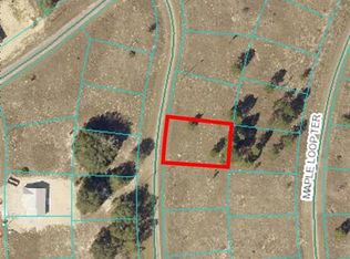11 Maple Lane Way #17, Ocklawaha, FL 32179