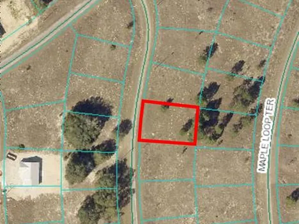 11 Maple Lane Way #17, Ocklawaha, FL 32179