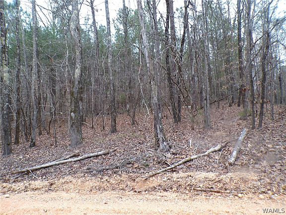 5th image of 13495 Gilbert Tommie Rd