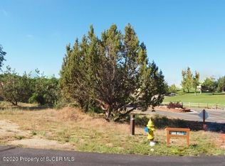 5713 Indian Wells Ct, Farmington, NM 87402