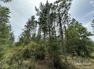 PARCEL N Wildlife Rd #D, Holt, FL 32564