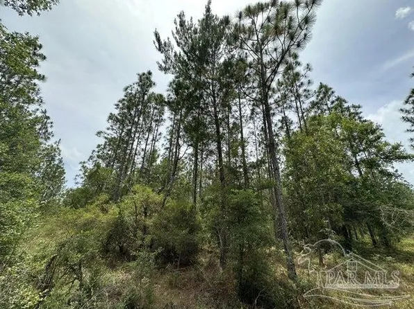 PARCEL N Wildlife Rd #D, Holt, FL 32564