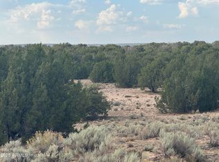 16 Apn #205-33-016, Saint Johns, AZ 85936