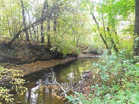 Butternut Creek borders the property