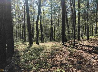 695 Myra Branch Rd, Helen, GA 30545