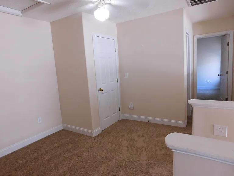 4204 Arbor Green Way — Photo 17