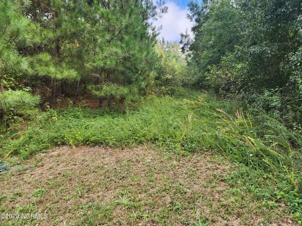 Parcel #2 Highway 125, Halifax, NC 27839