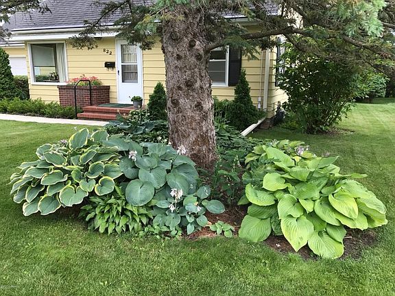 4th image of 822 Westwood Dr