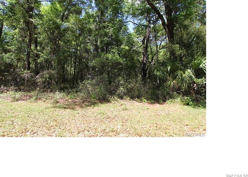 2nd image of 1035 Orchid Ave