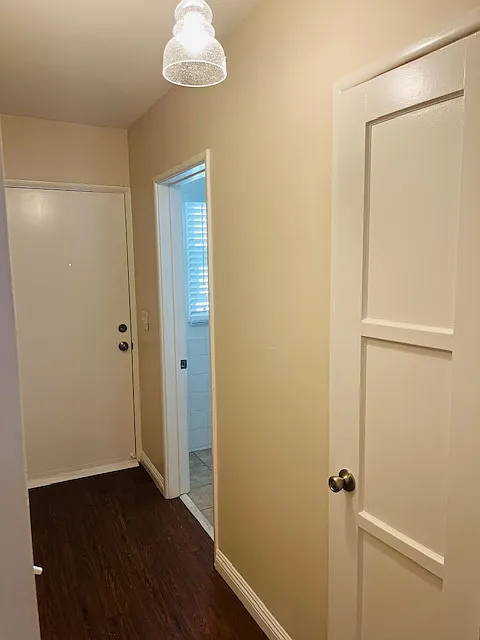 Hallway to bathroom and back door
