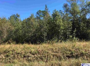 Law Rd, Effingham, SC 29541