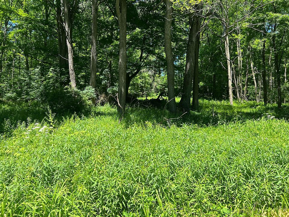 0 Wileytown Rd, Fly Creek, NY 13337 MLS 135291 Zillow