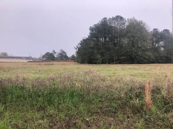 0 W Gunter Ave, Opp, AL 36467