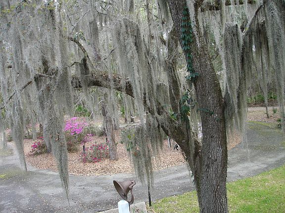 Front Circular Driveway