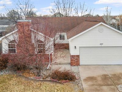 1507 Stonewood Ct, Windsor, CO, 80550