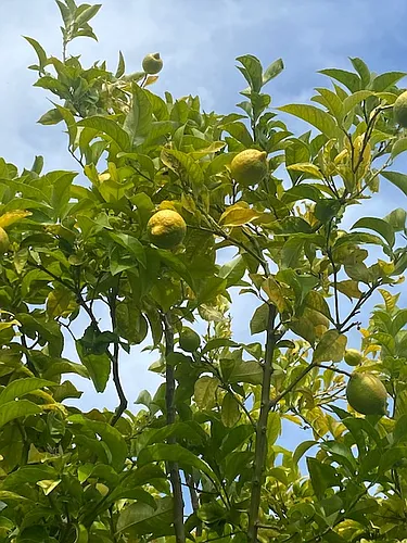 1380 Sevier Ave Photo 1