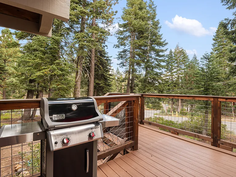 439 John Cain Dr — Photo 19