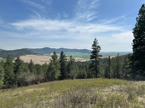 E Steptoe Ln, Latah, WA 99018