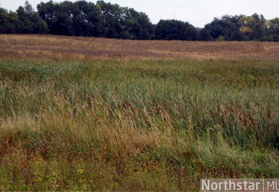 146XX Dodd Road Ave, Kilkenny, MN 56052 MLS 6379836 Zillow