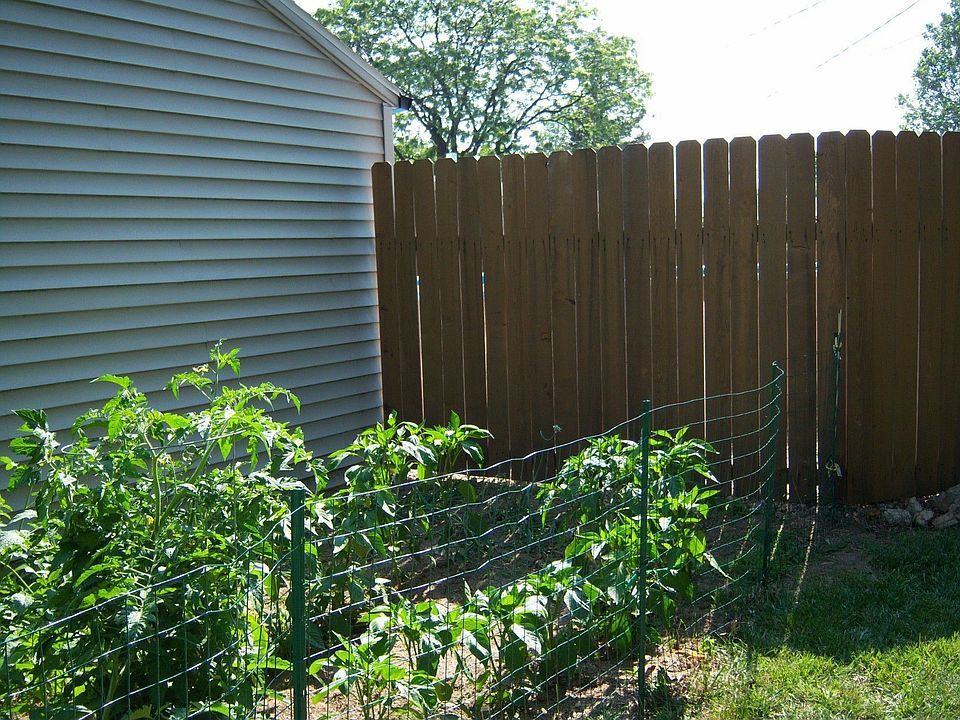 Garden behind garage