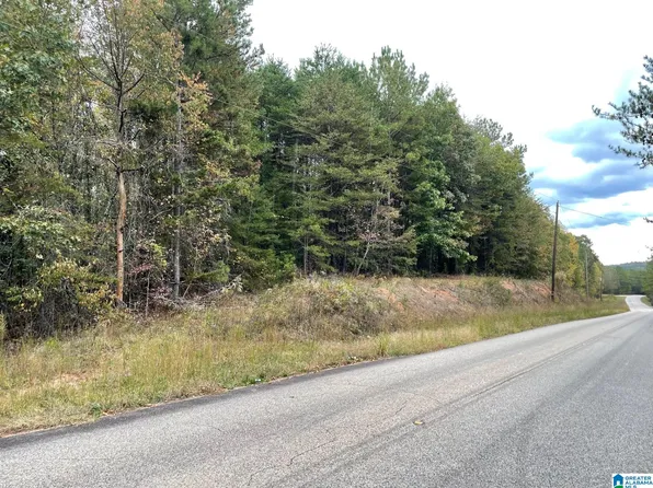 Lees Bridge Rd #0, Delta, AL 36258