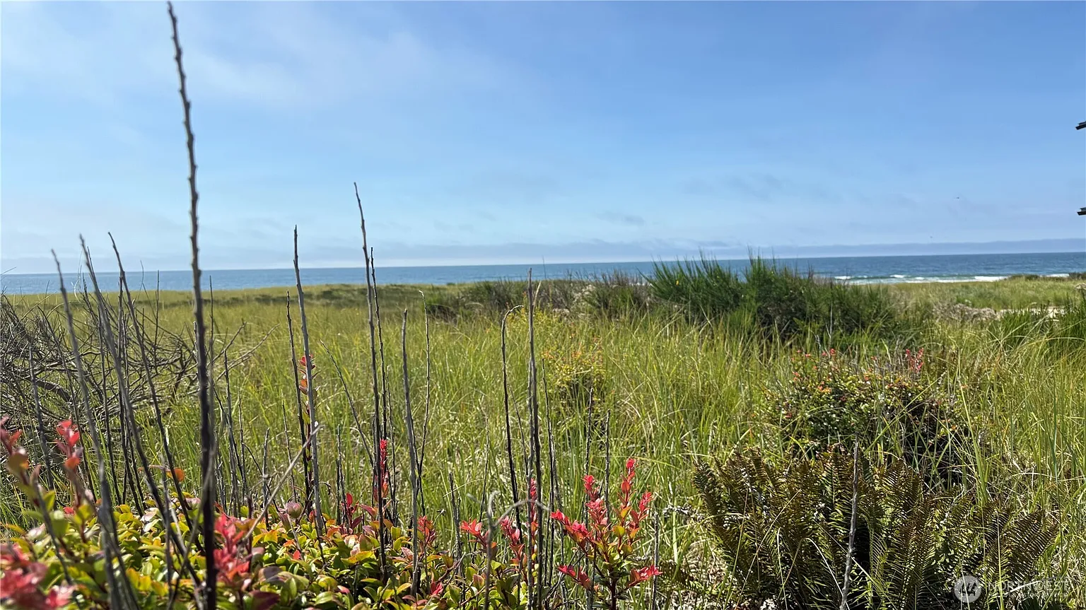 615 Dune Crest Loop photo 1