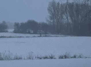 10425 S Cork Rd, Morrice, MI 48857