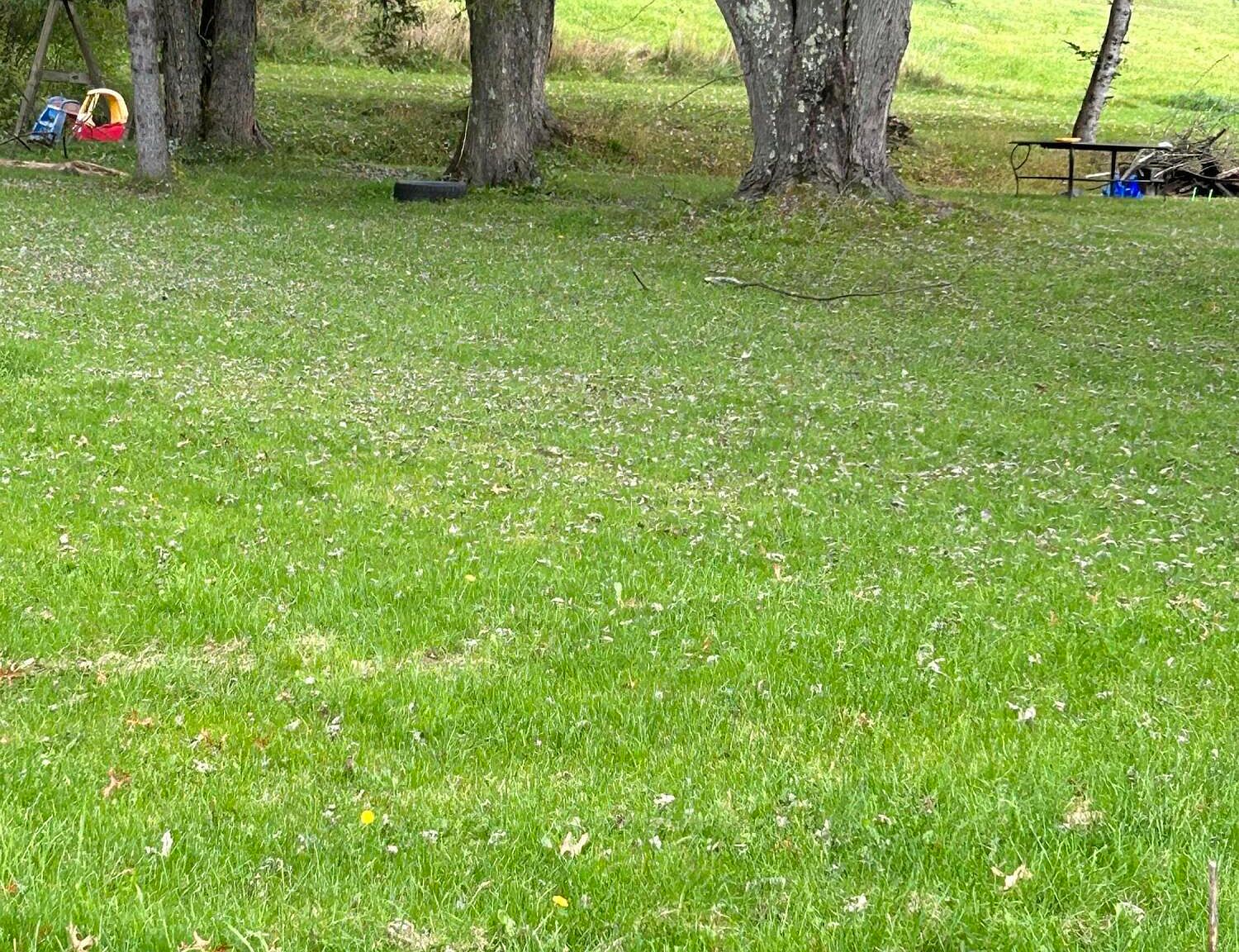 208 2nd St, Laceyville, PA 18623 Zillow