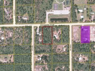 6189 Mahogany Blvd, Bunnell, FL 32110