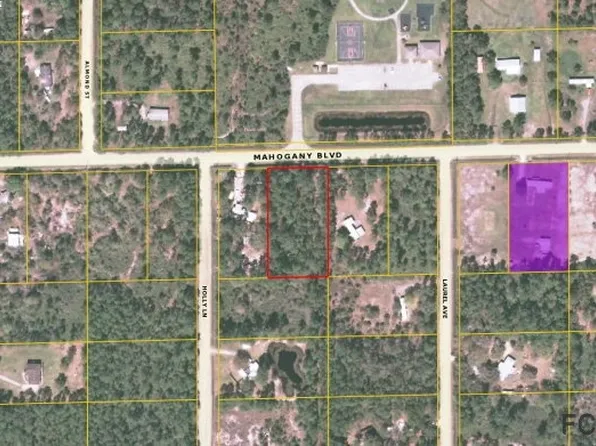 6189 Mahogany Blvd, Bunnell, FL 32110