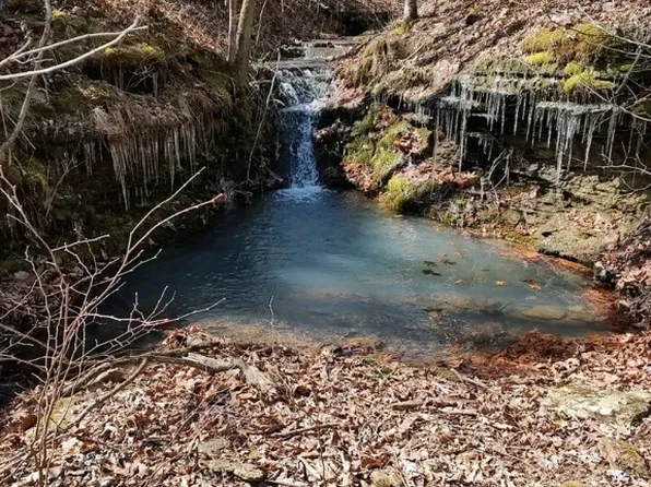 72.5 Acres Hwy #23, Witter, AR 72776