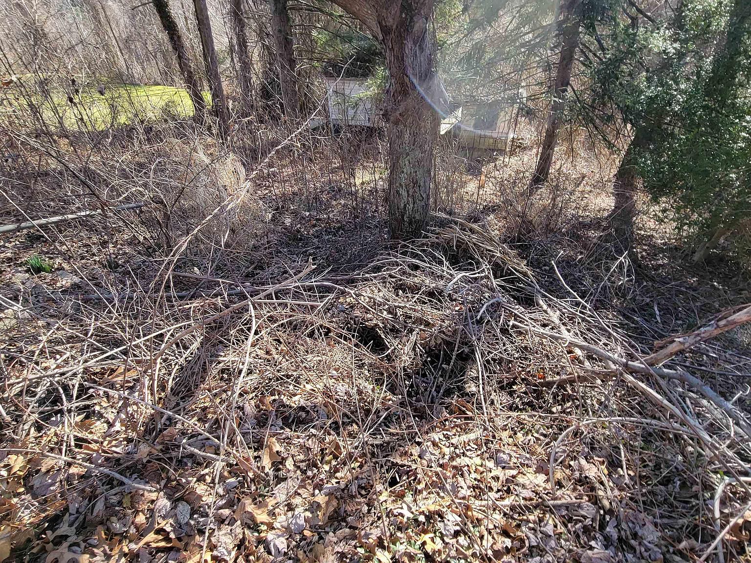 Pinch Gut Hollow Rd, Fairmont, WV 26554 Zillow