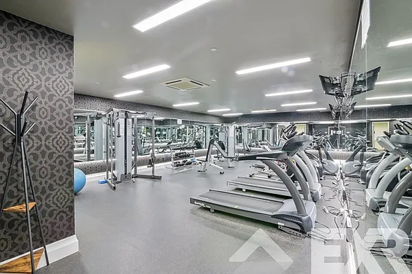 Rented by EXR | media 17