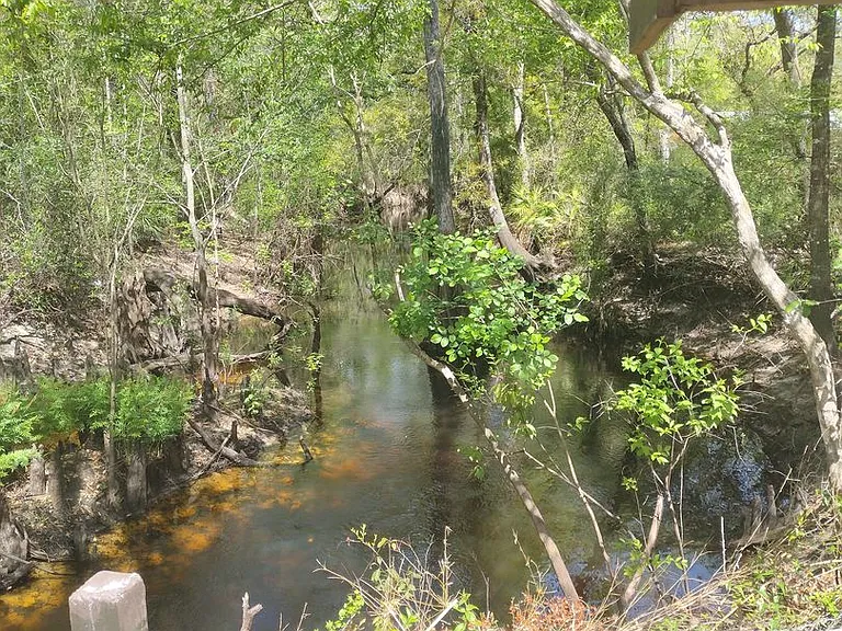 12740 County Road 687 — Photo 30