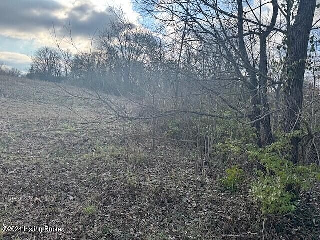 2nd image of 0 Geoghegan Rd