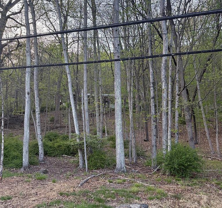 2nd image of 78 Deerhaven Rd