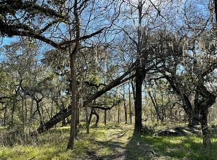 Deer Run Rd, Damon, TX 77430